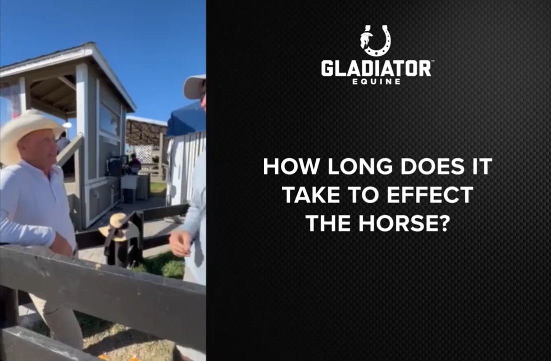 How Long Does It Take to Effect the Horse?