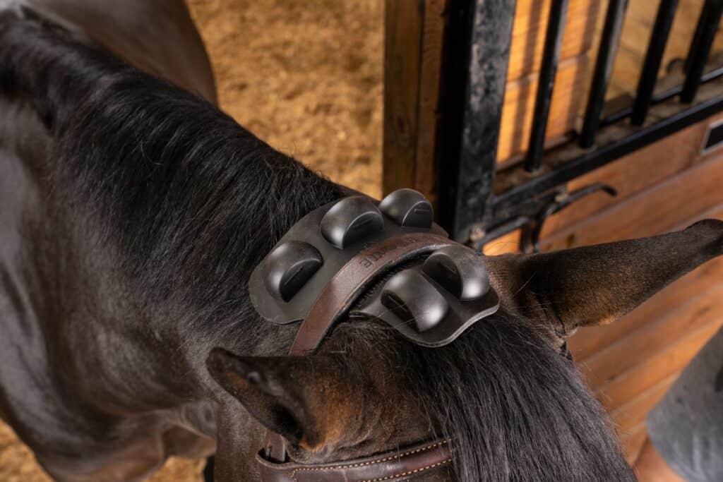 FIR Equine Therapy Devices for Recovery | Gladiator Equine