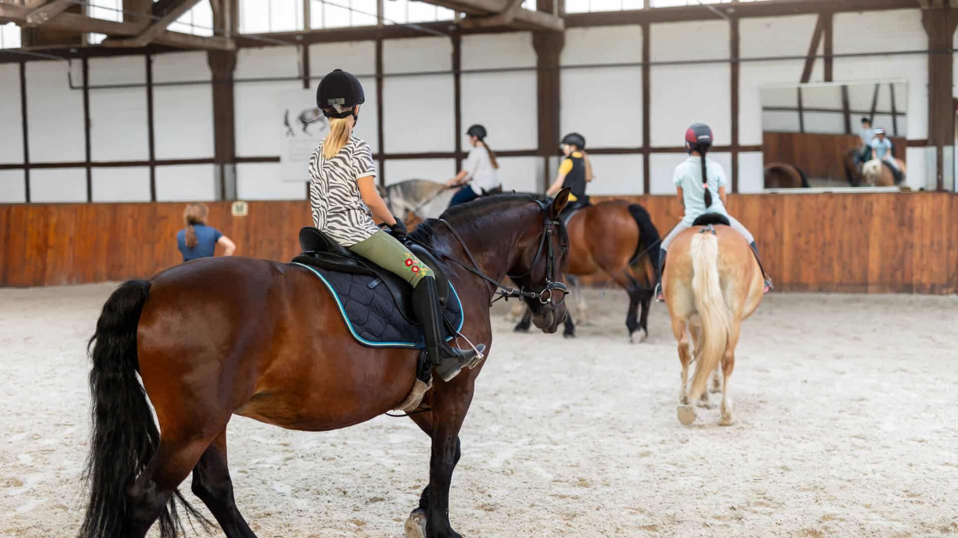 Scales of Horse Training