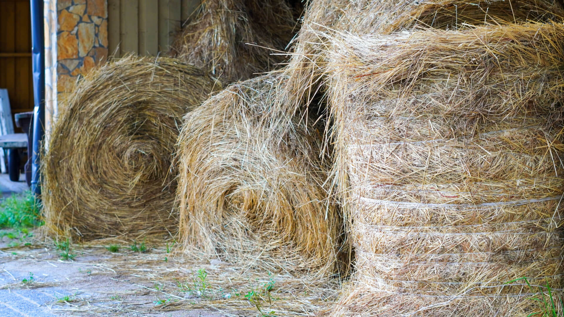 barn supplies for horse care