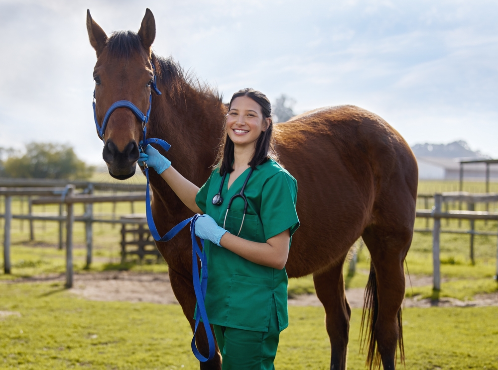 gladiator equie veterinarian