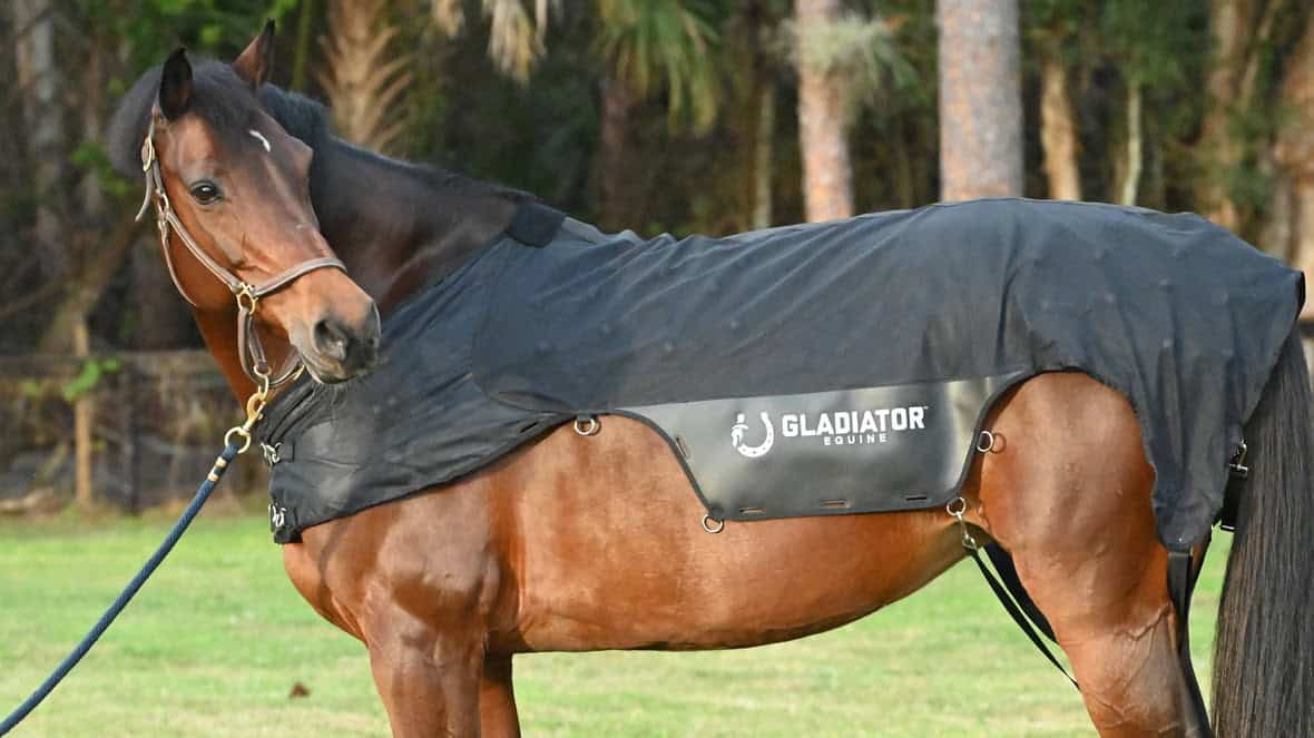 Gladiator Equine Blanket