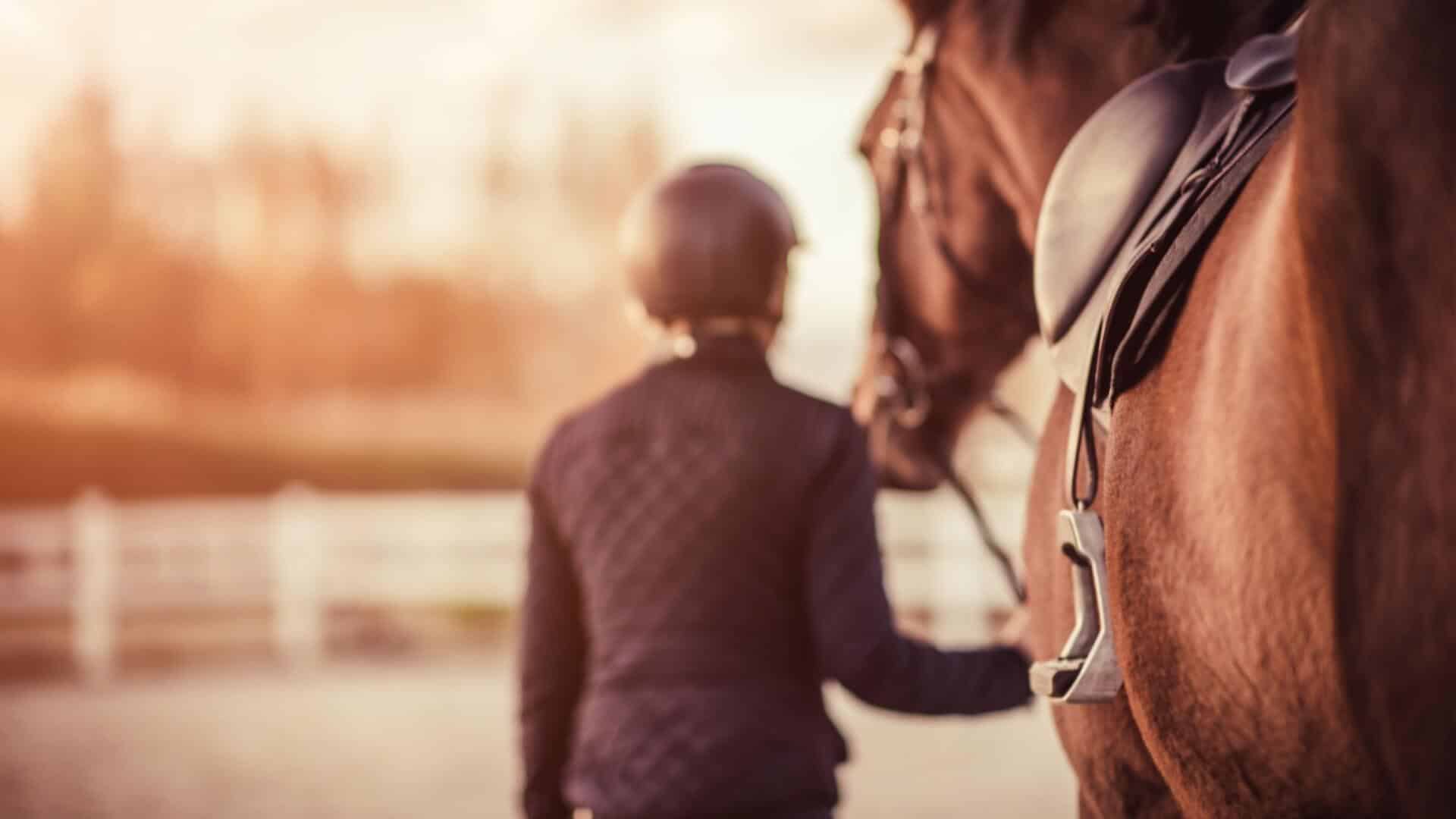 English riding