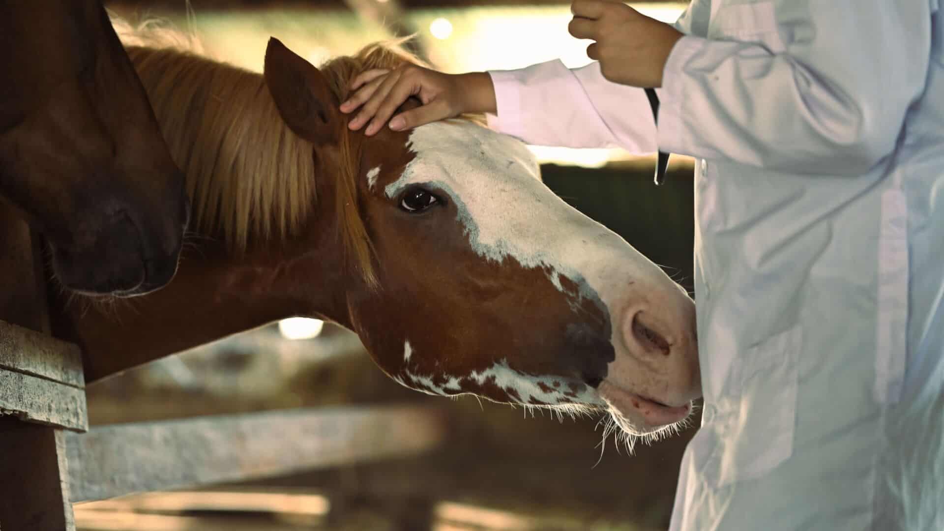 colic