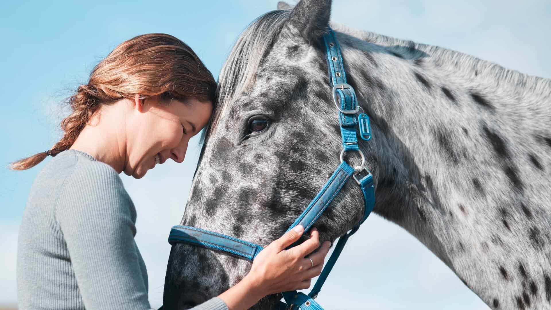 healthy horse