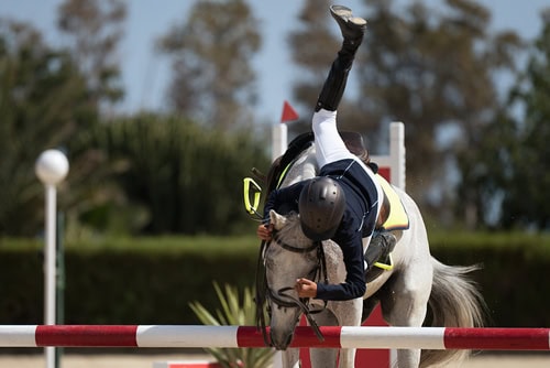 horse-show-jumping-accident